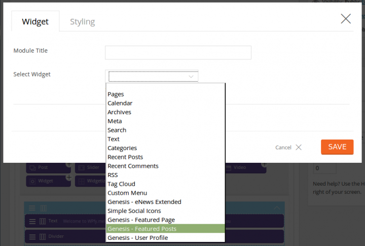 Themify Builder Widget Selection