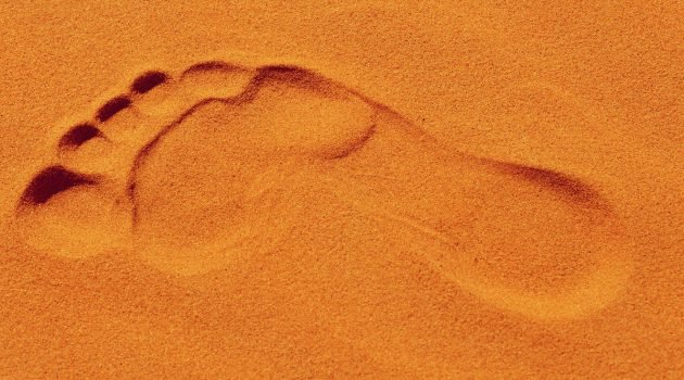 Customizing the Genesis Entry Footer